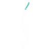 Illustration du rachis cervical