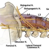 chirurgie du rachis neurostimulation medullaire probleme de dos espace francilien du rachis clinique du rachis versailles paris 4