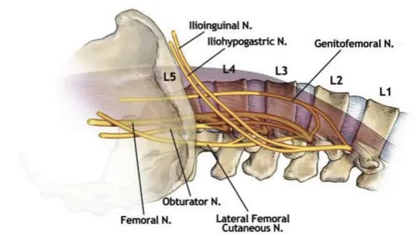 chirurgie du rachis neurostimulation medullaire probleme de dos espace francilien du rachis clinique du rachis versailles paris 4