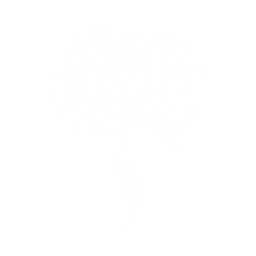 icone logo blanc espace francilien du rachis