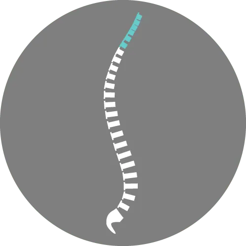 le rachis cervical symptomes rachis cervical anatomie rachis cervical douleur infiltration rachis cervical rachis cervical superieur espace francilien du rachis paris versailles