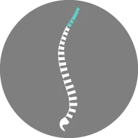 le rachis cervical symptomes rachis cervical anatomie rachis cervical douleur infiltration rachis cervical rachis cervical superieur