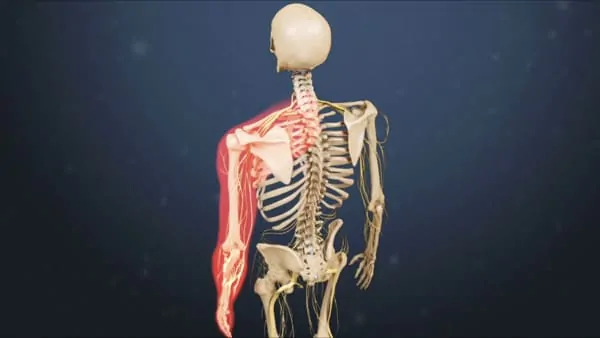 myelopathie cervico arthrosique myelopathie cervicarthrosique et fatigue myelopathie cervicarthrosique irm espace francilien du rachis clinique du rachis versailles paris 2