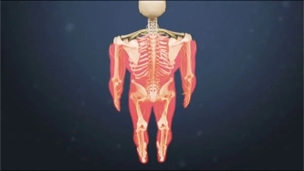 myelopathie cervico arthrosique myelopathie cervicarthrosique et fatigue myelopathie cervicarthrosique irm espace francilien du rachis clinique du rachis versailles paris 3