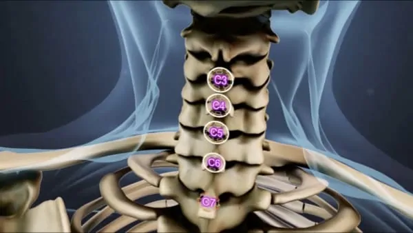 rachis cervical anatomie du dos espace francilien du rachis clinique du rachis versailles paris 1 rachis cervical anatomie du dos espace francilien du rachis clinique du rachis versailles paris 1